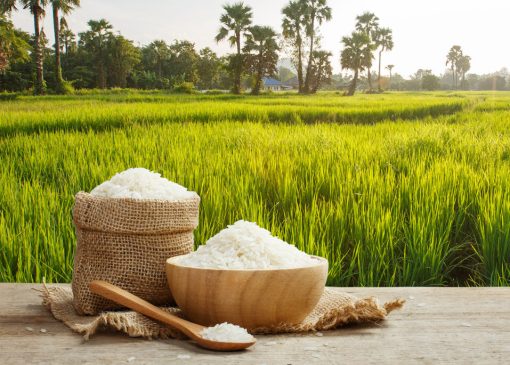 برنج هاشمی چیست