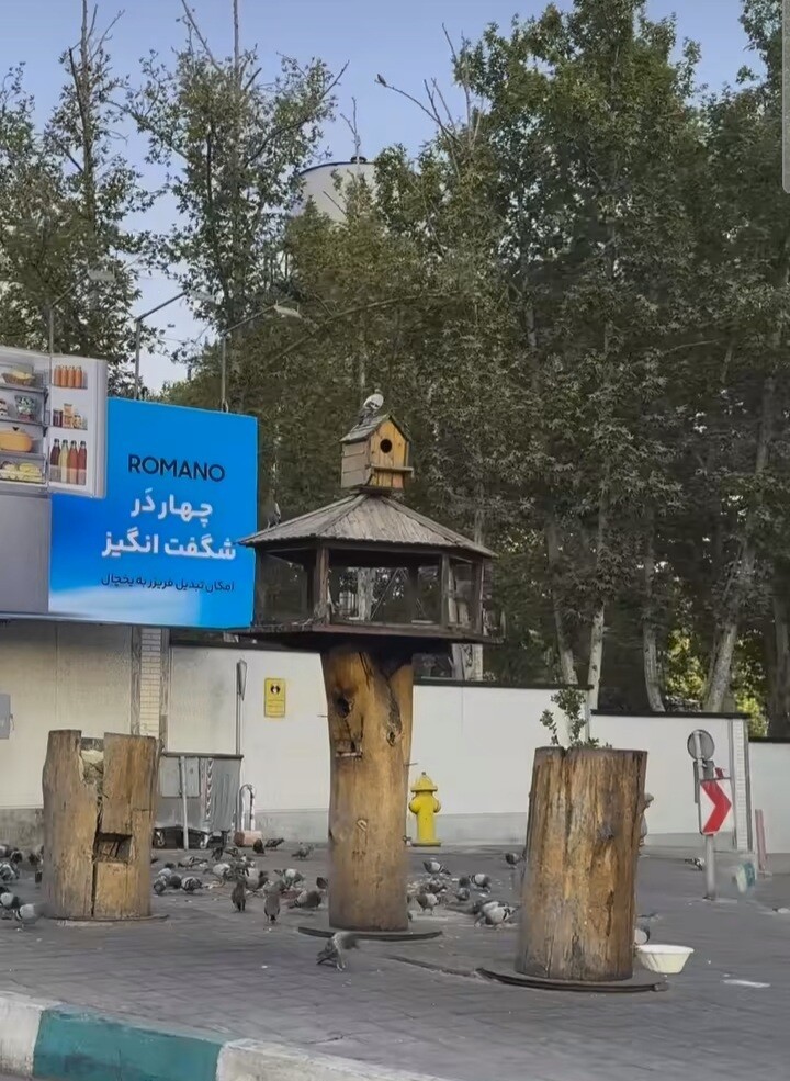 خلاقیت شهرداری