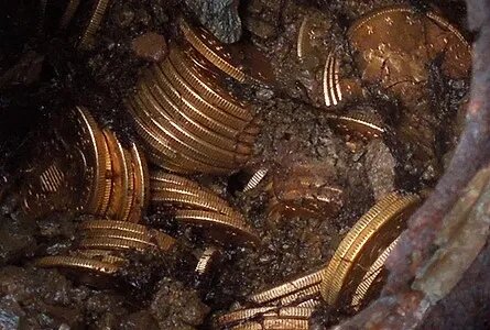 زوج خوش‌شانس اتفاقی ۱۴۰۰ سکه طلا پیدا کردند / پیاده‌روی با طعم گنج
