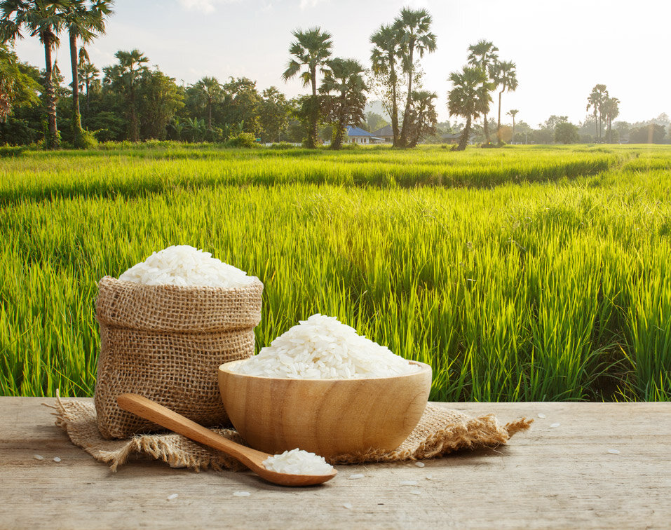 برنج هاشمی چیست
