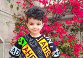 ویدئو/نگاهی به چیدمان منزل شاهانه و مجلل مهدیار کلائی «سالارِ پایتخت» / از مبلمان سلطنتی و مدرن و حیاط سرسبز شمال تا تابلوهای هنری و پرده‌های اعیانی+ تصاویر