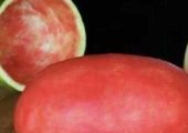 عکس | خلاقیت خنده دار مبتکر ایرانی در تبدیل هندوانه به قلیان حماسه آفرید / استفاده از آناناس و سیب برای تکمیل اختراع 😂