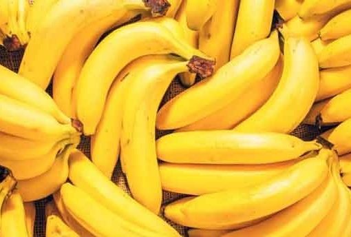 خلاقیت خنده دار پدر ایرانی برای حفظ موز در برابر مهمان ها حماسه آفرید +عکس/ هنر نزد ایرانیان است و بس😂