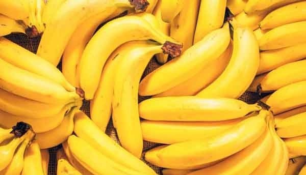 خلاقیت خنده دار پدر ایرانی برای حفظ موز در برابر مهمان ها حماسه آفرید +عکس/ هنر نزد ایرانیان است و بس😂