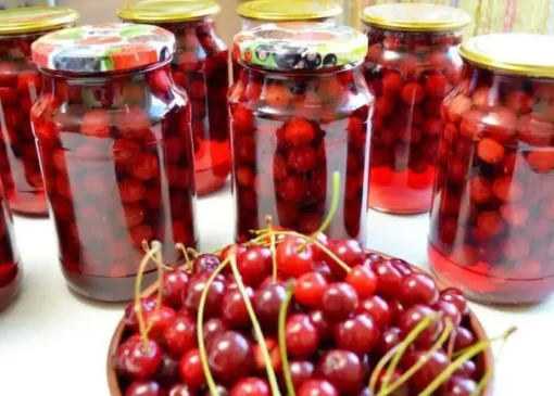 طرز تهیه ترشی آلبالو + نکات کپک نزدن