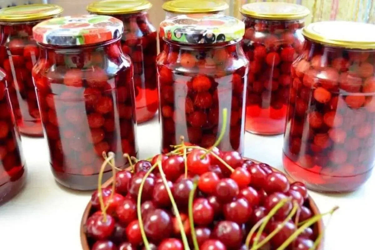 طرز تهیه ترشی آلبالو + نکات کپک نزدن