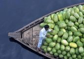 خلاقیت خنده دار راننده نیسان، برای فرار از گرما حماسه آفرید/ هنر نزد ایرانیان است و بس...