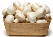 طرز تهیه انواع غذای لذیذ با قارچ در کمترین زمان