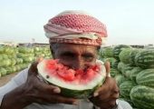 خلاقیت خنده دار هندوانه فروش قزوینی برای کشاندن مشتری به مغازه با گارانتی پس از فروش/مغز نیست که معدن طلاست😂