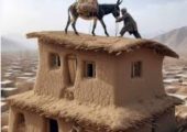 خلاقیت خنده دار اوستا بنّا در استفاده از اُلاغ به عوان بالابر حماسه آفرید / هنر نزد ایرانیان است و بس🤣