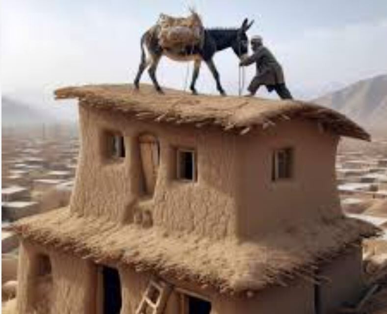 خلاقیت خنده دار اوستا بنّا در استفاده از اُلاغ به عوان بالابر حماسه آفرید / هنر نزد ایرانیان است و بس🤣