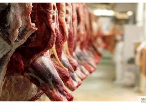 قیمت گوشت سقوط کرد/ جدیدترین قیمت گوشت در بازار امروز ۲۳ بهمن ماه ۱۴۰۴