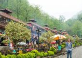 خلاقیت تحسین برانگیز شهرداری رشت برای حفظ پرندگان از گرما و سرما/ ایستاده باید تشویقش کرد+عکس