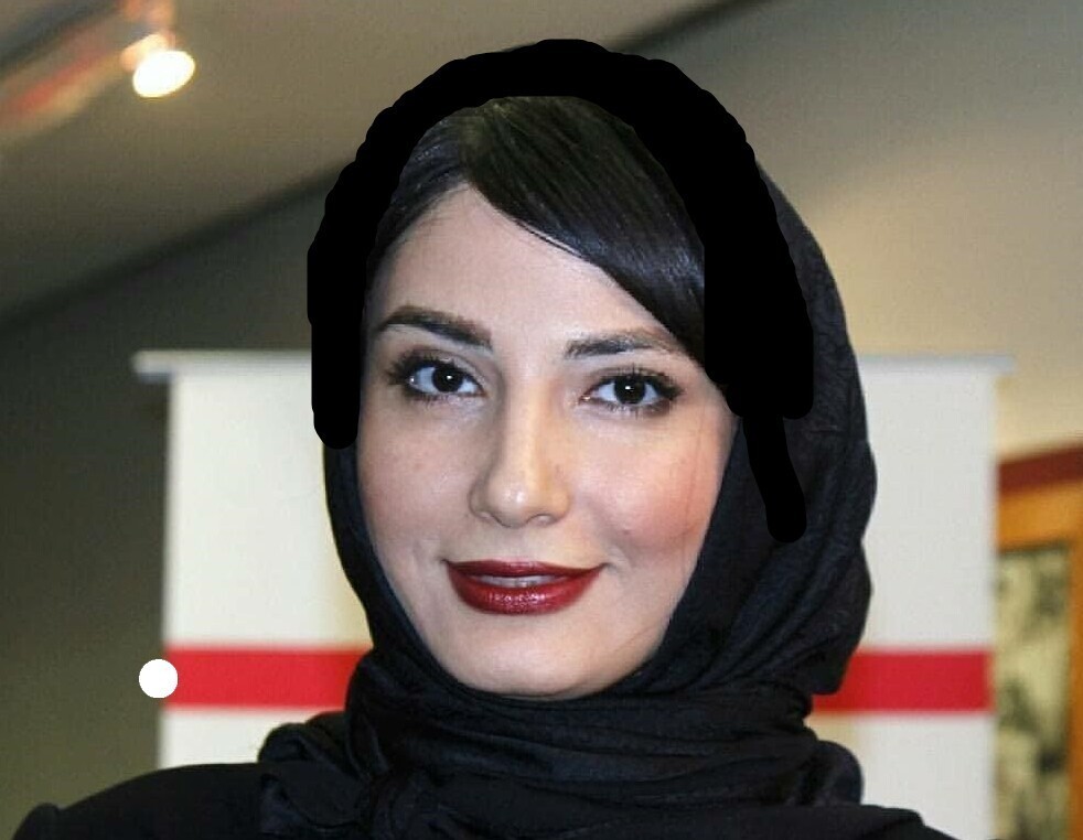 نگاهی به تولد فوق لاکچری سمیرا حسن پور بازیگر کشورمان در هواپیمای شخصی/ دارندگی و برازندگی😍